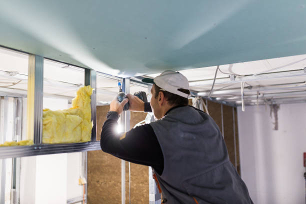 Best Residential Insulation in Greenfield, MO